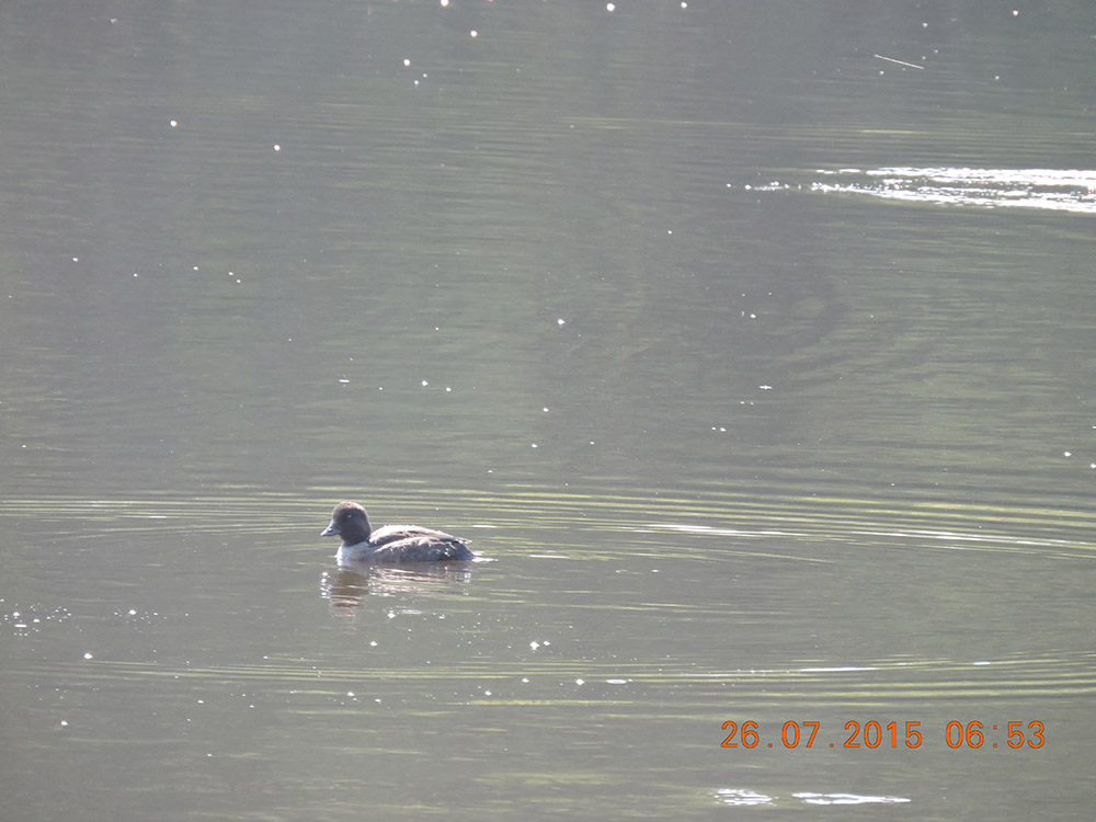 Паломническая поездка на Монастырское озеро.